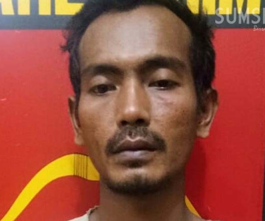 Curi Sawit di Kebun PTPN VII, Arisman Dicokok Polisi