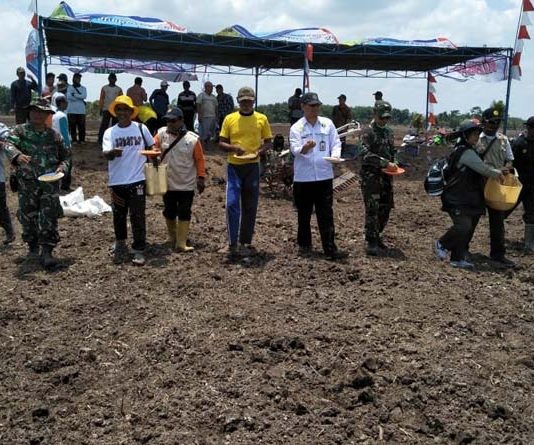 Dukung Swasembada Pangan Dengan Gerakan Tanam Massal
