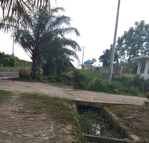 Parit Jalan Lingkar Banyuasin Tak Terawat