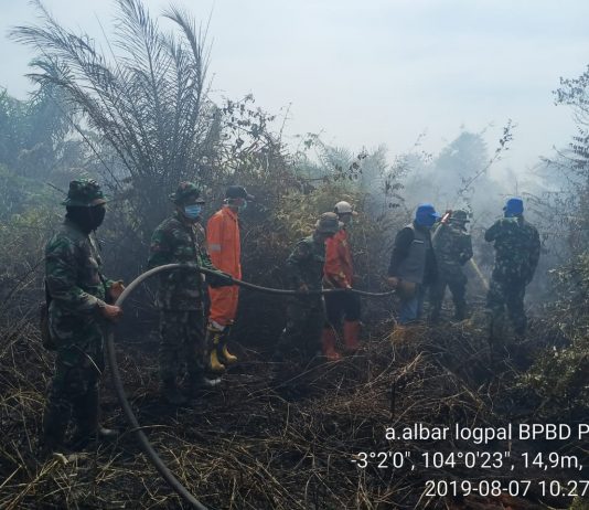 Repdem Minta Pemprov Sumsel Segera Atasi Kebakaran Lahan