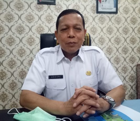 Gelar Pasar Digital, Pemko Palembang Bagikan 500 Paket Beras Subsidi