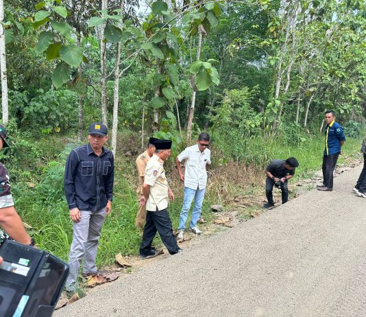Pj Bupati Apriyadi Tinjau Jalan Desa Tanjung Raya