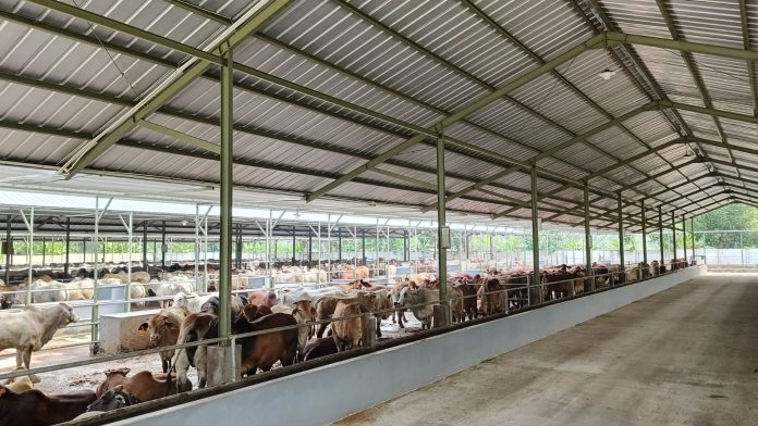 Peternakan Terintegrasi PT LSAJ di Balaraja Tangerang
