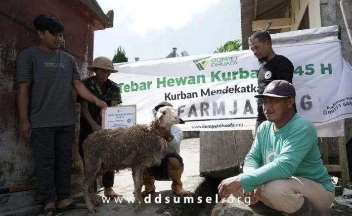 IMG-20250524-WA0004_copy_768x472