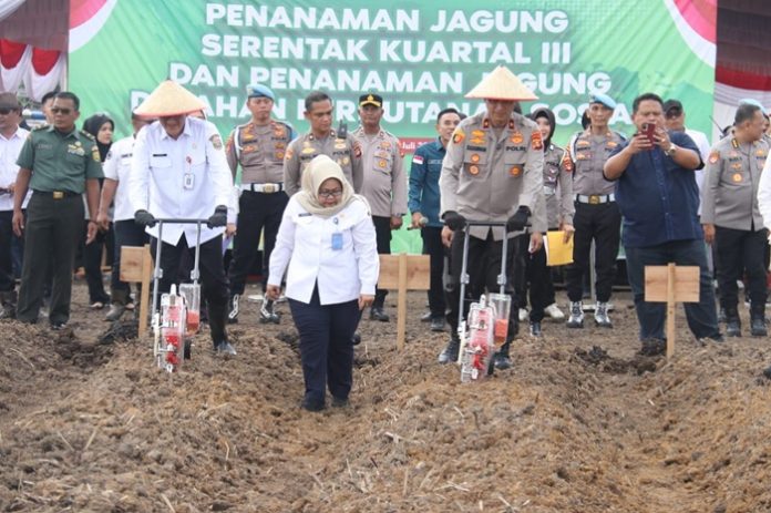 09.07.2025.POLDA TANAM JAGUNG.master