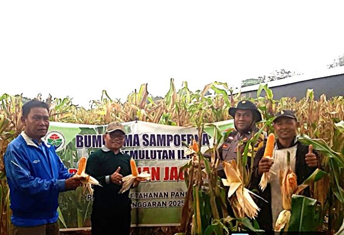 28.07.2025,POLSEK PEMULUTAN