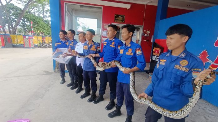 IMG_20250813_193007_378