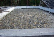 Banyuasin Penghasil Ikan Patin Terbesar Kedua di Sumsel