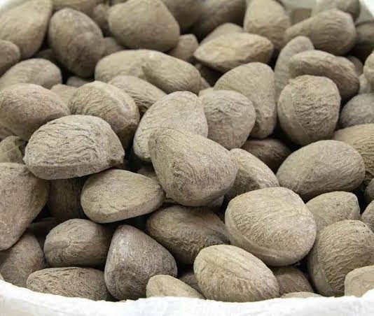 Manfaat Kluwek Untuk Kesehatan Tubuh yang Jarang Diketahui