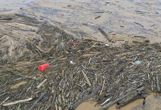 Kayu Gelondongan Menumpuk di Pantai Padang Pascabanjir