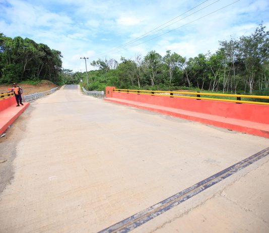 Jembatan Tumpang Sari, Perkuat Akses Penghubung dan Pelayanan Dasar Masyarakat PALI