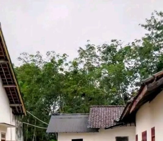 Ratusan Rumah di Belitang Terendam Banjir