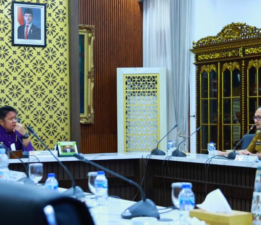 Pengembangan Health Tourism: Sumsel Siap Jadi Alternatif Berobat Dalam Negeri