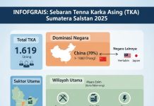 Dominasi TKA Cina di Sumsel: Sektor Pertambangan Jadi Incaran Utama