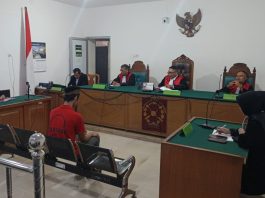 Jual Kucing Hutan Dihukum 6 Bulan Penjara