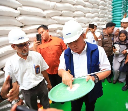 Stok Beras Sumsel Aman 10 Bulan: Masyarakat Jangan ‘Panic Buying’, Operasi Pasar Digencarkan
