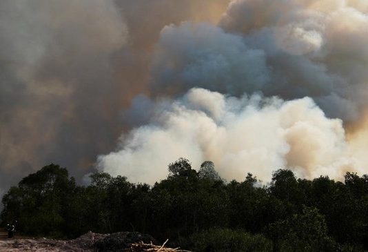 Asap Karhutla Bikin Kualitas Udara Palembang Anjlok di Jam Dini Hari