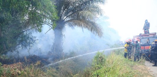 Cairan Khusus dari Brasil Diuji Padamkan Api di Lahan Terbakar Banyuasin, Diklaim Tembus Hingga ke Dalam Tanah