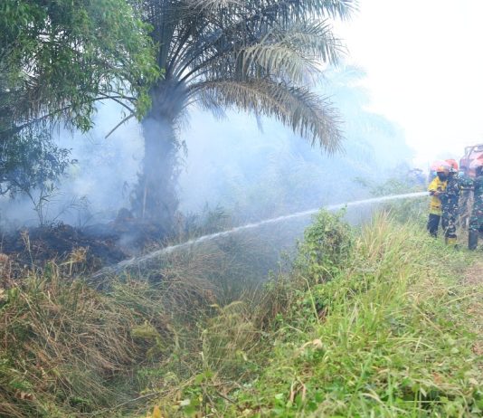 Cairan Khusus dari Brasil Diuji Padamkan Api di Lahan Terbakar Banyuasin, Diklaim Tembus Hingga ke Dalam Tanah